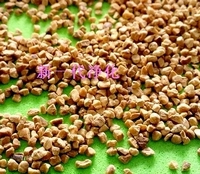 ��(y��u)�|(zh��)���Қ������Қ�(���ͣ������Қ��w��